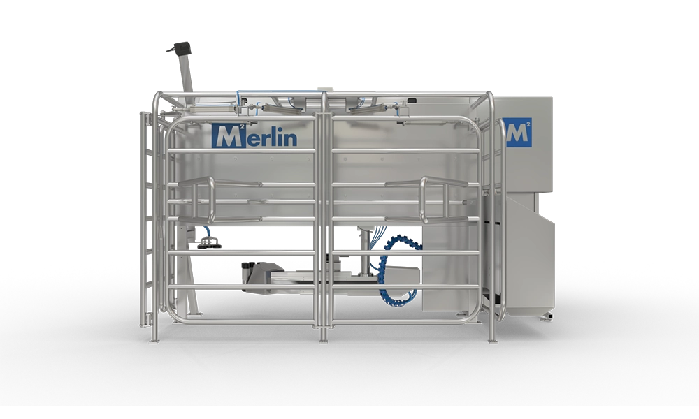 Merlin-2